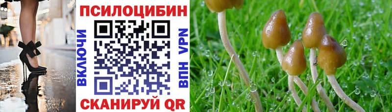 Псилоцибиновые грибы прущие грибы Красавино